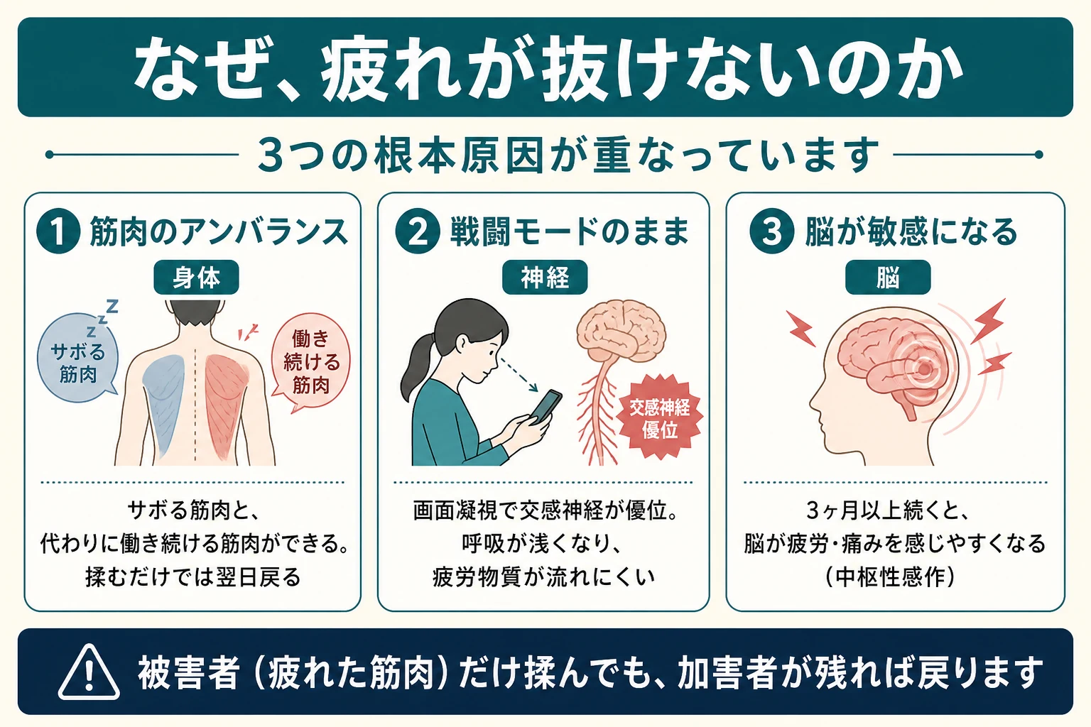 疲れが抜けない3つの根本原因:筋肉のアンバランス・交感神経優位・3ヶ月以上で脳が敏感になる中枢性感作