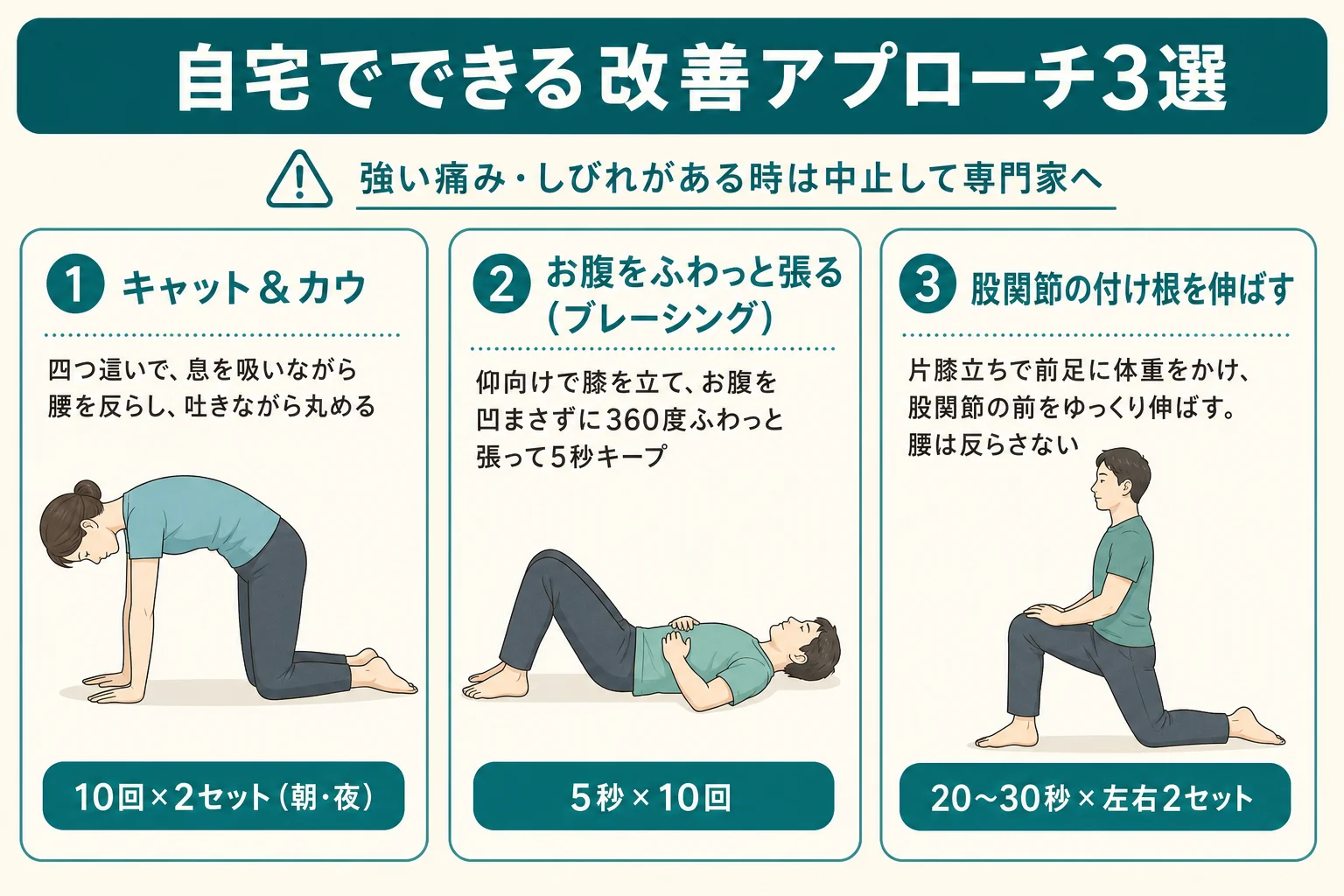 慢性腰痛の自宅セルフケア3選の図解:キャット&カウ・お腹をふわっと張るブレーシング・股関節の付け根を伸ばすストレッチ