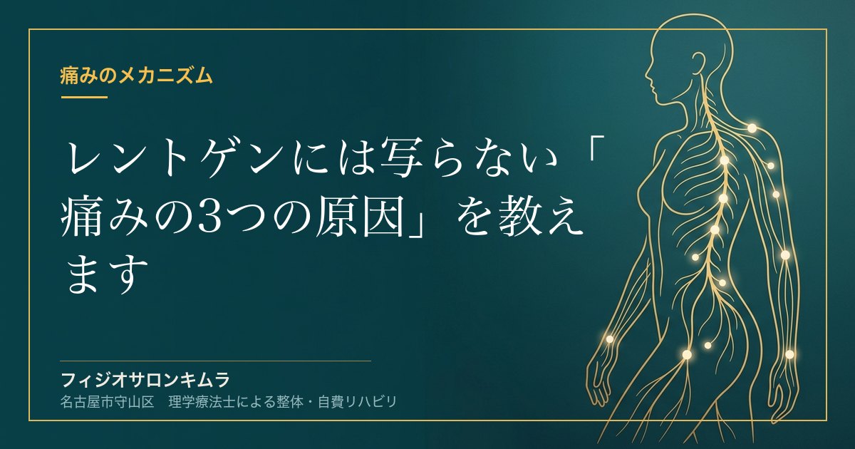 【15年の結論】レントゲンには写らない「痛みの3つの原因」を教えます